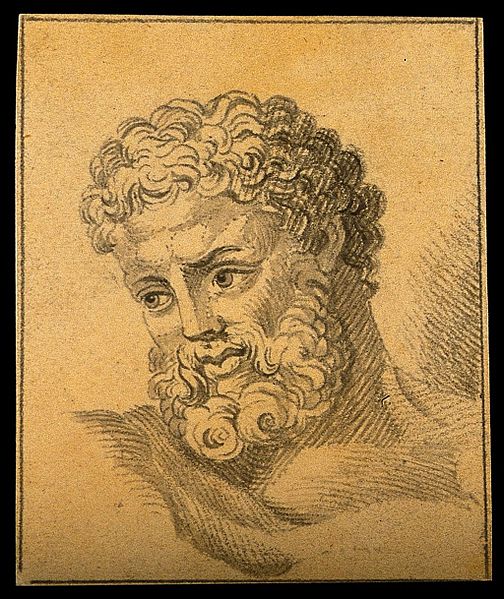 File:The head of Hercules. Drawing, c. 1792. Wellcome V0009200ER.jpg