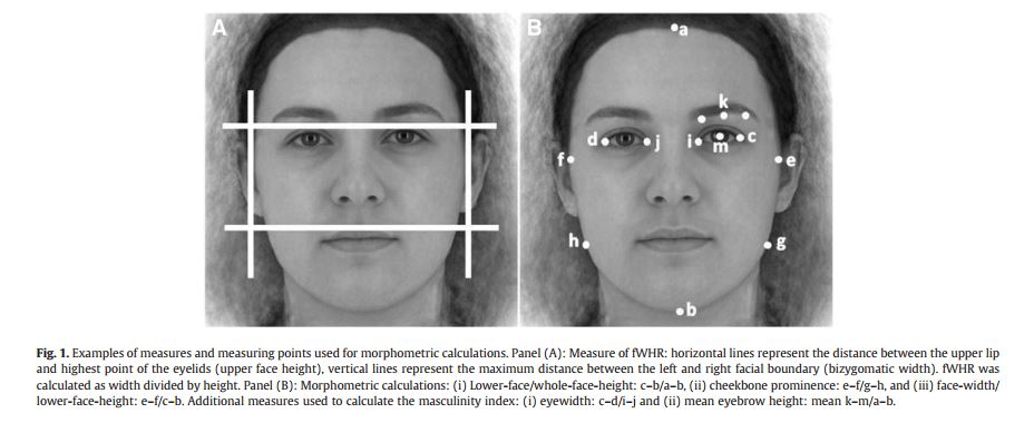 FWHR-upper-eyelids-to-upper-lip.jpg