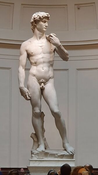File:640px-Michelangelo's David-Galleria dell'Accademia.jpg