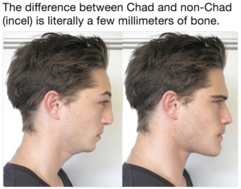 Chad Incel Wiki