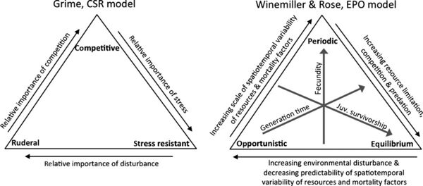 Life history theory - Incel Wiki