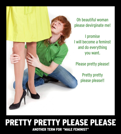 Male feminist.png