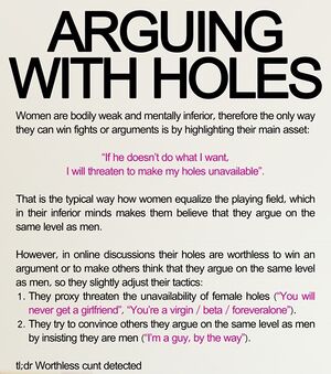 Arguing with holes.jpg