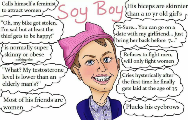 soyboy-incel-wiki