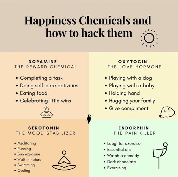 File:Happy Chemicals.jpg
