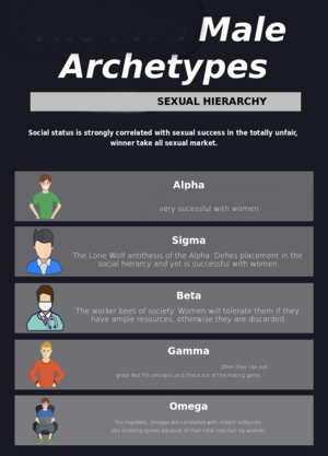 dominance hierarchy incel sigma ranks incels