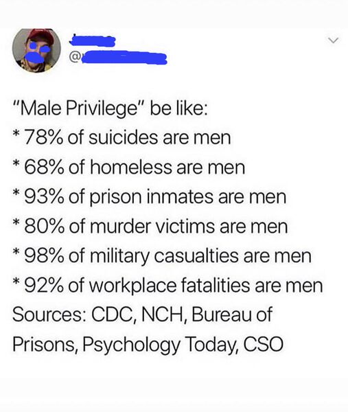 File:Male privilege.jpg