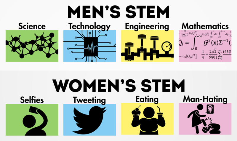 File:Women vs men in STEM.png