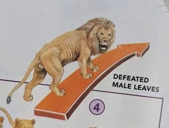 DefeatedMaleLeaves.png